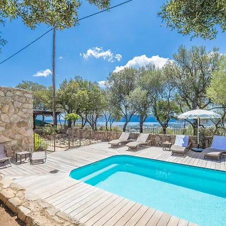 Tavara Di Porto-vecchio *